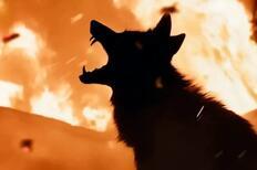 Скриншот из фильма