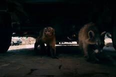 Скриншот из фильма