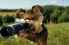 Скриншот из фильма