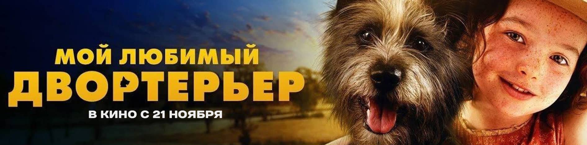 Мой любимый двортерьер